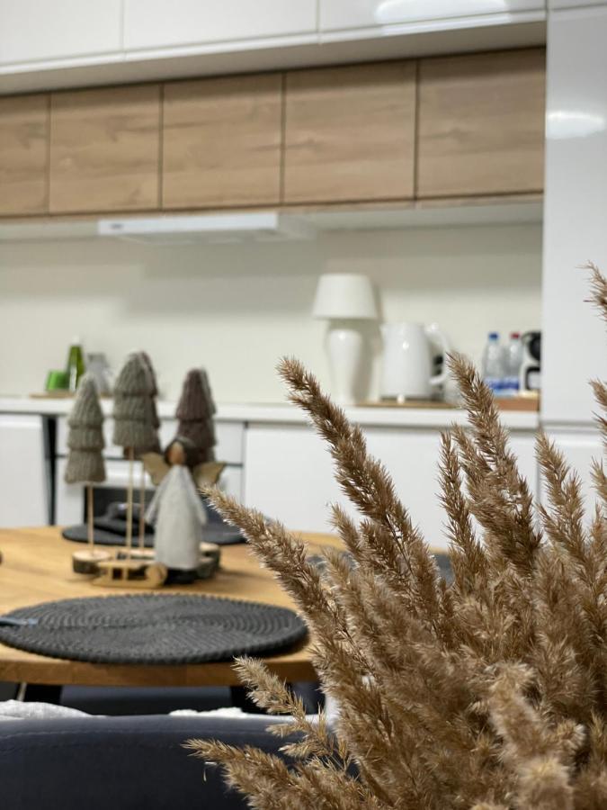 Forest Studio Druskininkai Luaran gambar