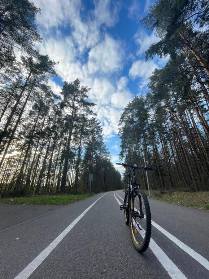 Forest Studio Druskininkai Luaran gambar